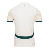 Maglia ufficiale Costa d`Avorio Trasferta 2024-25 per Uomo